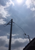 image1.jpeg